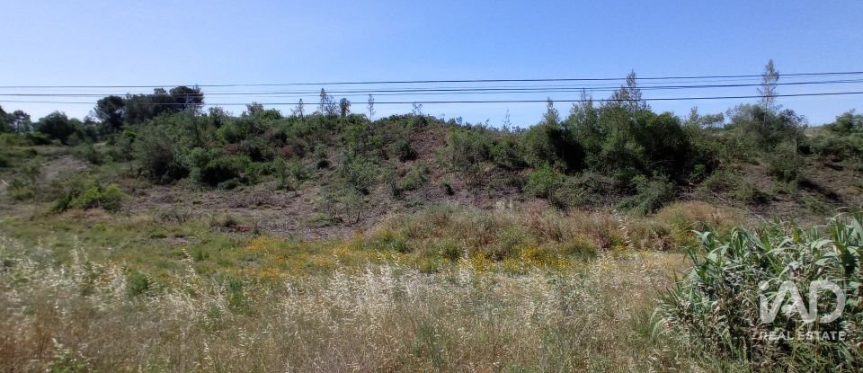 Terreno rústico em Madalena e Beselga de 47 720 m²
