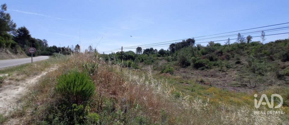 Terreno rústico em Madalena e Beselga de 47 720 m²
