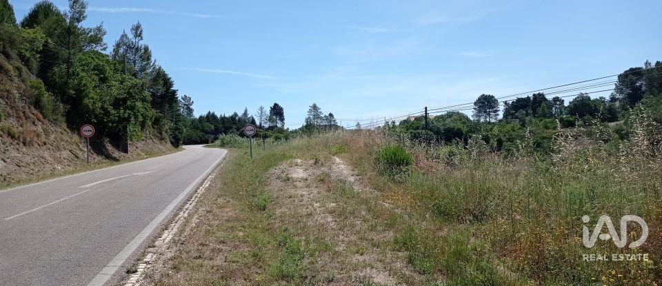 Terreno rústico em Madalena e Beselga de 47 720 m²