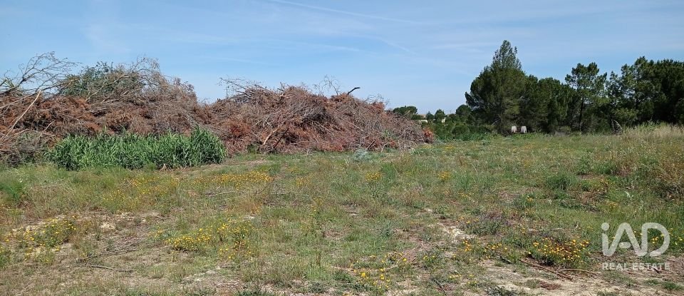 Terreno rústico em Madalena e Beselga de 47 720 m²
