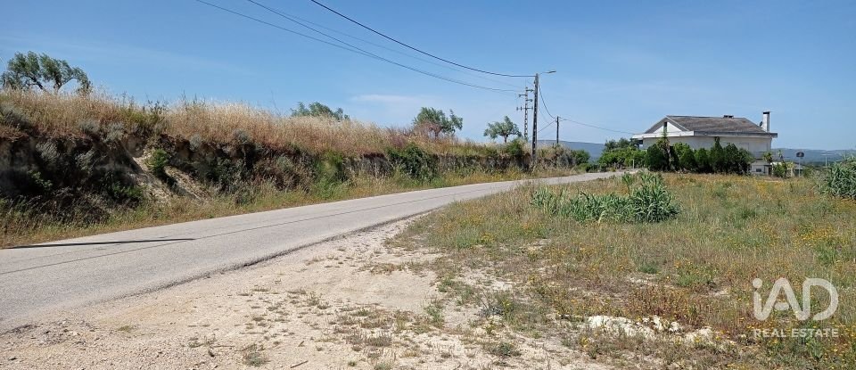Terreno rústico em Madalena e Beselga de 47 720 m²