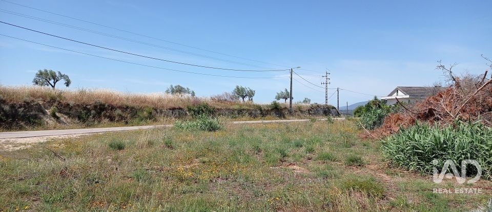 Terreno rústico em Madalena e Beselga de 47 720 m²