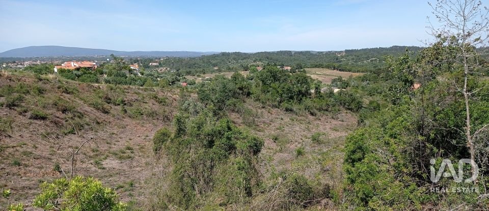 Terreno rústico em Madalena e Beselga de 47 720 m²
