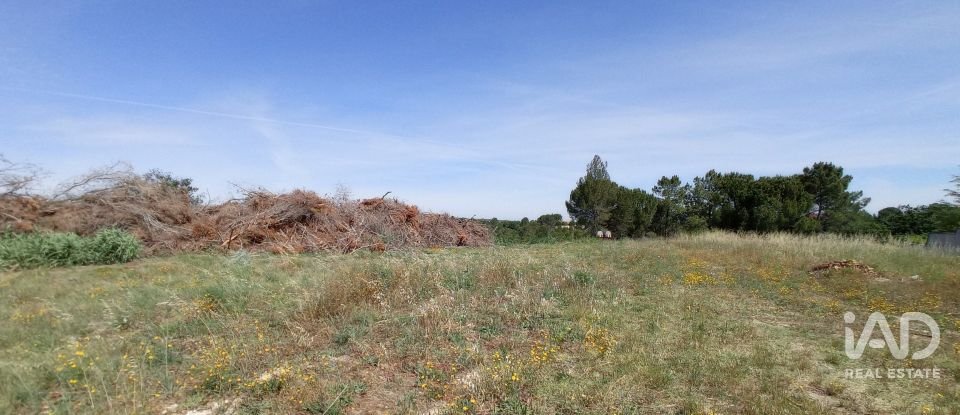 Terreno rústico em Madalena e Beselga de 47 720 m²