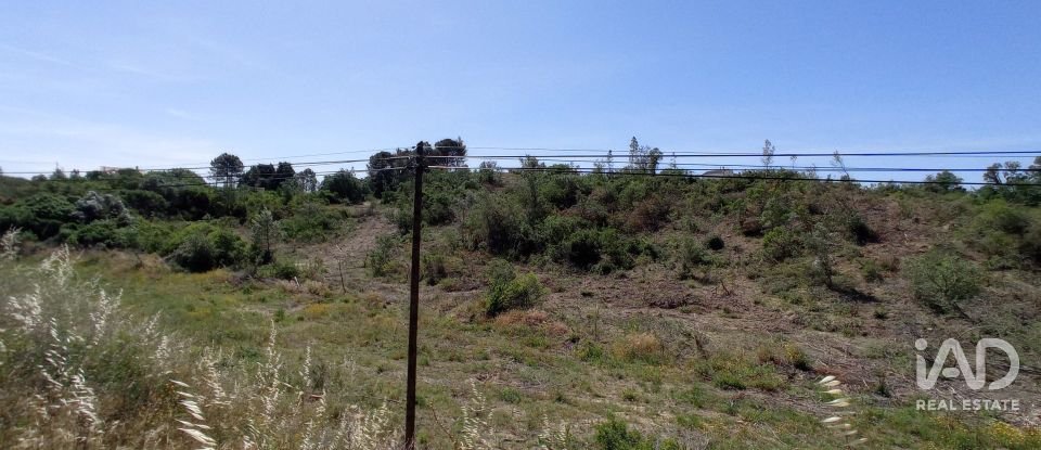 Terreno rústico em Madalena e Beselga de 47 720 m²