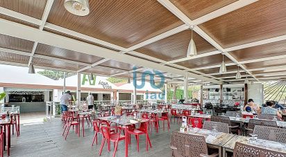 Boutique/Local commercial à Tavira (Santa Maria e Santiago) de 700 m²