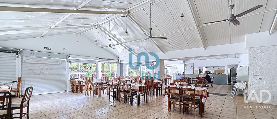 Boutique/Local commercial à Tavira (Santa Maria e Santiago) de 700 m²