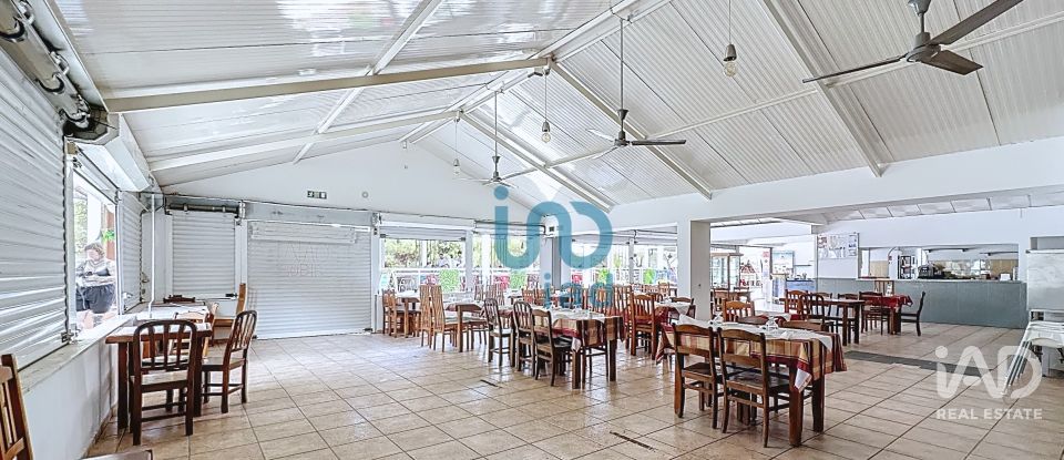 Boutique/Local commercial à Tavira (Santa Maria e Santiago) de 700 m²