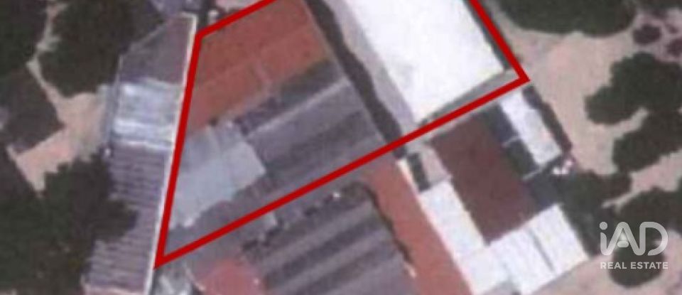 Boutique/Local commercial à Tavira (Santa Maria e Santiago) de 700 m²