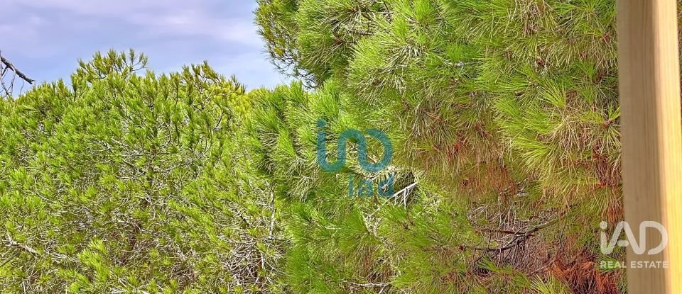 Boutique/Local commercial à Tavira (Santa Maria e Santiago) de 700 m²