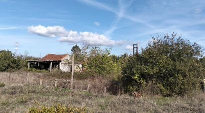 Maison rustique T2 à Nossa Senhora de Fátima de 52 m²