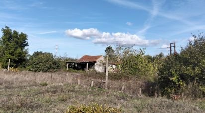 Maison rustique T2 à Nossa Senhora de Fátima de 52 m²