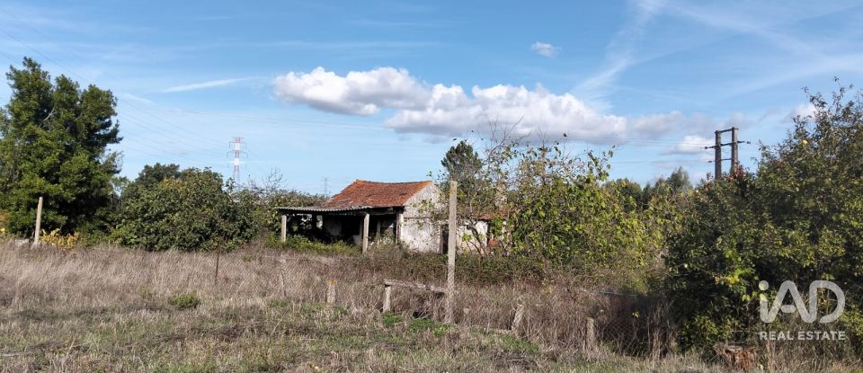 Casa de Campo T2 em Nossa Senhora de Fátima de 52 m²