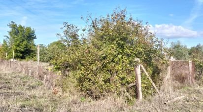 Maison rustique T2 à Nossa Senhora de Fátima de 52 m²