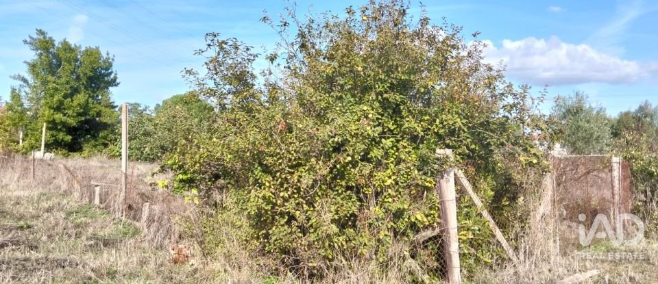 Casa de Campo T2 em Nossa Senhora de Fátima de 52 m²