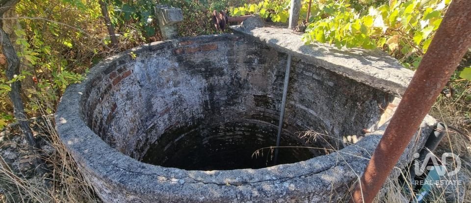 Casa de Campo T2 em Nossa Senhora de Fátima de 52 m²