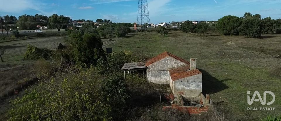 Casa de Campo T2 em Nossa Senhora de Fátima de 52 m²