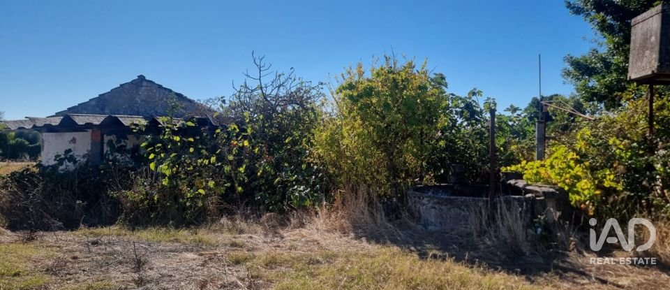 Casa de Campo T2 em Nossa Senhora de Fátima de 52 m²