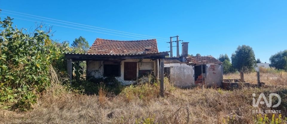 Casa de Campo T2 em Nossa Senhora de Fátima de 52 m²