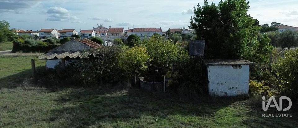 Casa de Campo T2 em Nossa Senhora de Fátima de 52 m²