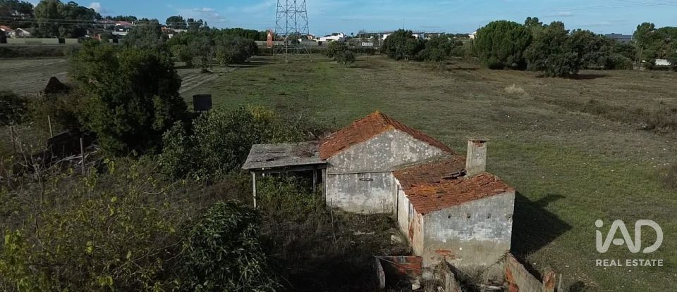 Casa de Campo T2 em Nossa Senhora de Fátima de 52 m²