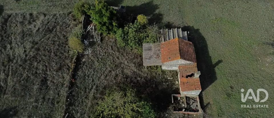 Casa de Campo T2 em Nossa Senhora de Fátima de 52 m²