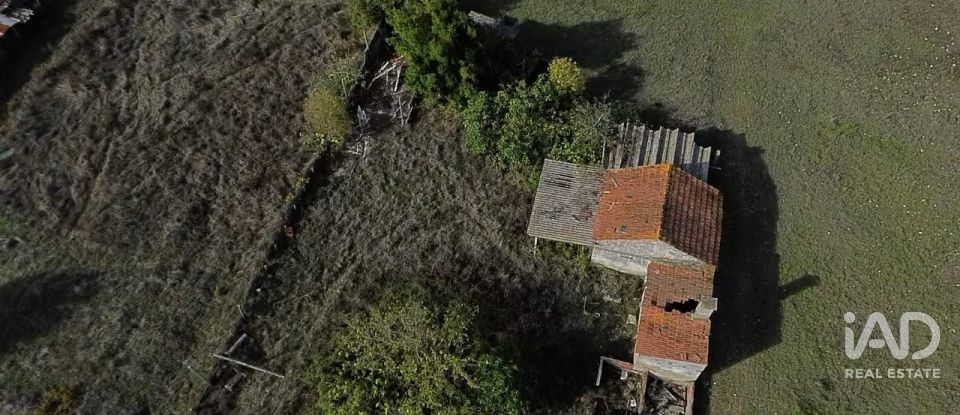 Casa de Campo T2 em Nossa Senhora de Fátima de 52 m²