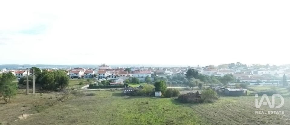 Casa de Campo T2 em Nossa Senhora de Fátima de 52 m²