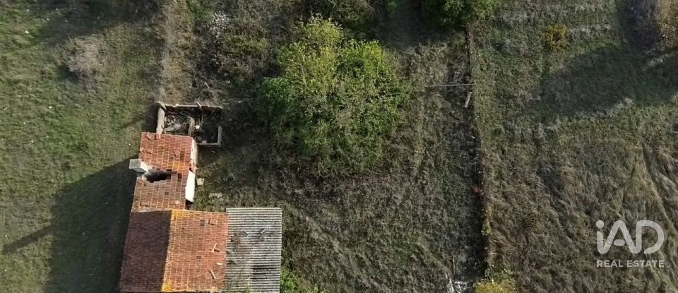 Casa de Campo T2 em Nossa Senhora de Fátima de 52 m²