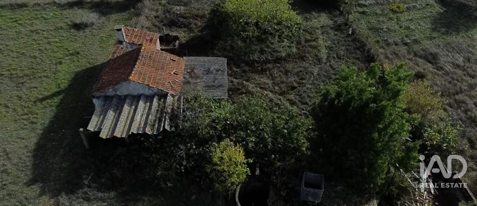 Casa de Campo T2 em Nossa Senhora de Fátima de 52 m²