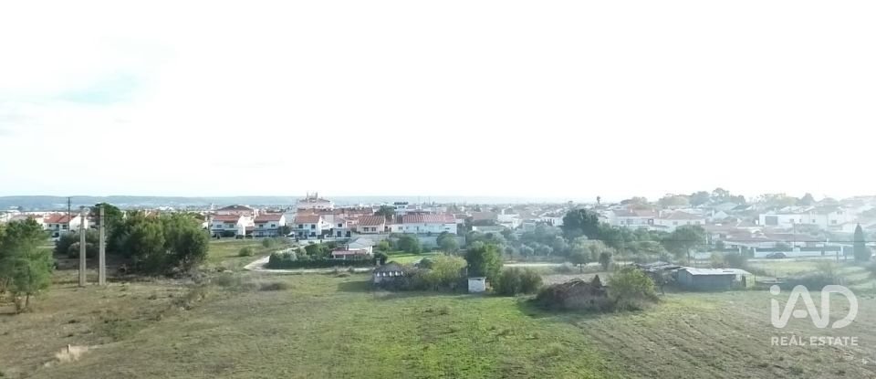 Casa de Campo T2 em Nossa Senhora de Fátima de 52 m²