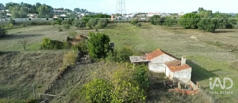 Casa de Campo T2 em Nossa Senhora de Fátima de 52 m²