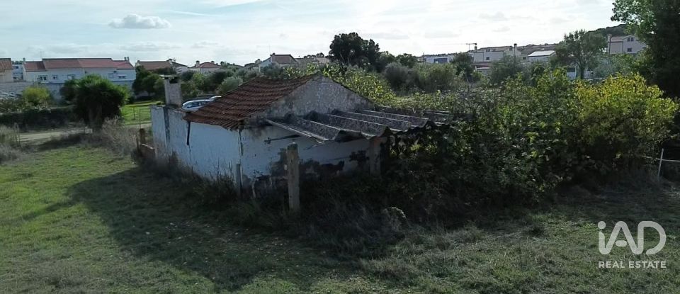 Casa de Campo T2 em Nossa Senhora de Fátima de 52 m²