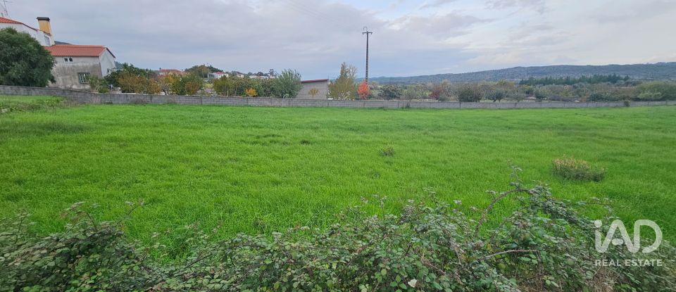 Terreno urbano em São Miguel, Santa Eufémia e Rabaçal de 1 408 m²