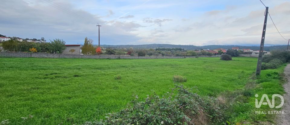 Terreno urbano em São Miguel, Santa Eufémia e Rabaçal de 1 408 m²