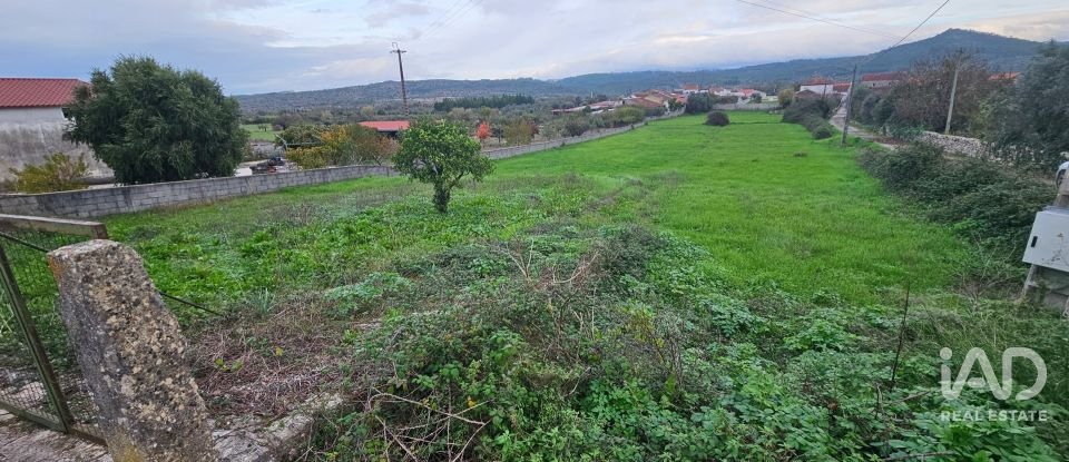 Terreno urbano em São Miguel, Santa Eufémia e Rabaçal de 1 408 m²