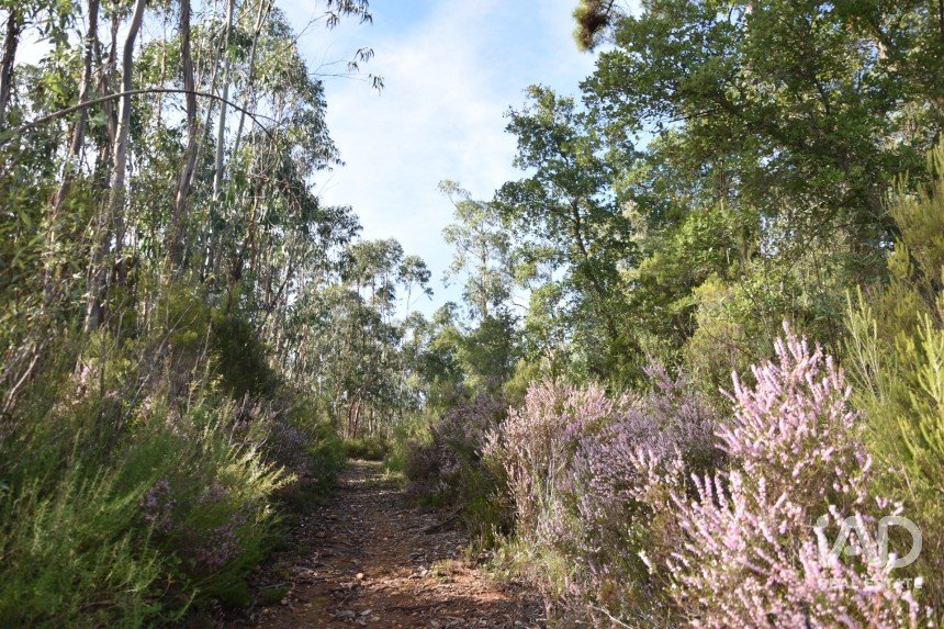 Terreno rústico em Sabacheira de 5 400 m²