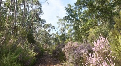 Farm land in Sabacheira of 5,400 m²