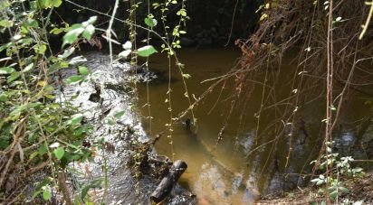 Farm land in Sabacheira of 5,400 m²