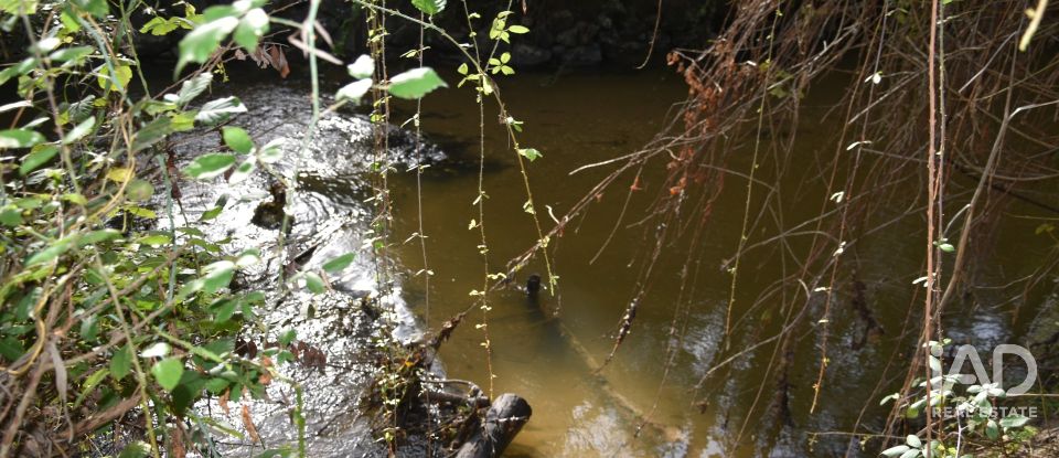 Terreno rústico em Sabacheira de 5 400 m²