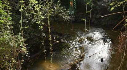 Farm land in Sabacheira of 5,400 m²