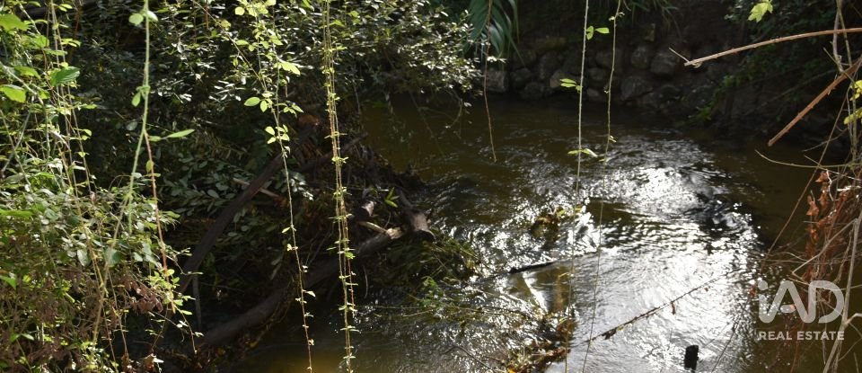 Terreno rústico em Sabacheira de 5 400 m²