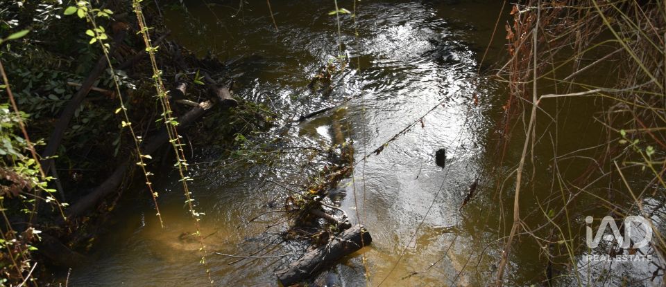 Terreno rústico em Sabacheira de 5 400 m²