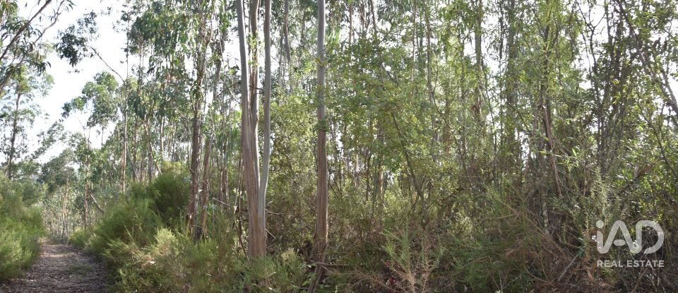 Terreno rústico em Sabacheira de 5 400 m²