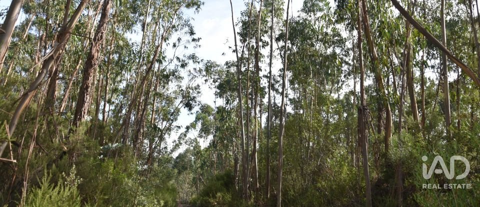 Terreno rústico em Sabacheira de 5 400 m²