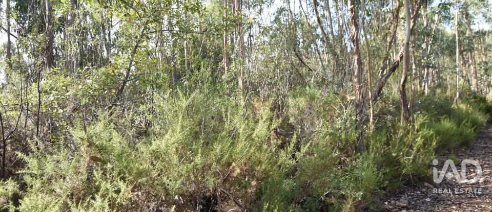 Terreno rústico em Sabacheira de 5 400 m²