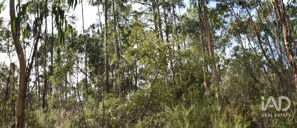 Terreno rústico em Sabacheira de 5 400 m²