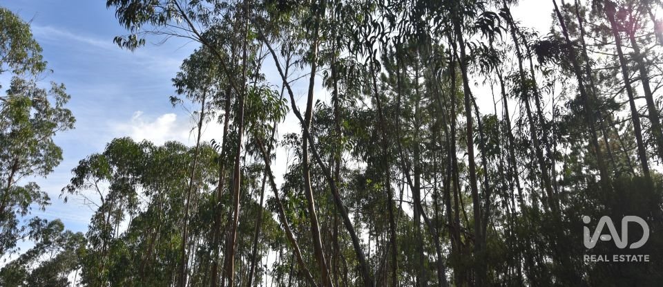 Terreno rústico em Sabacheira de 5 400 m²