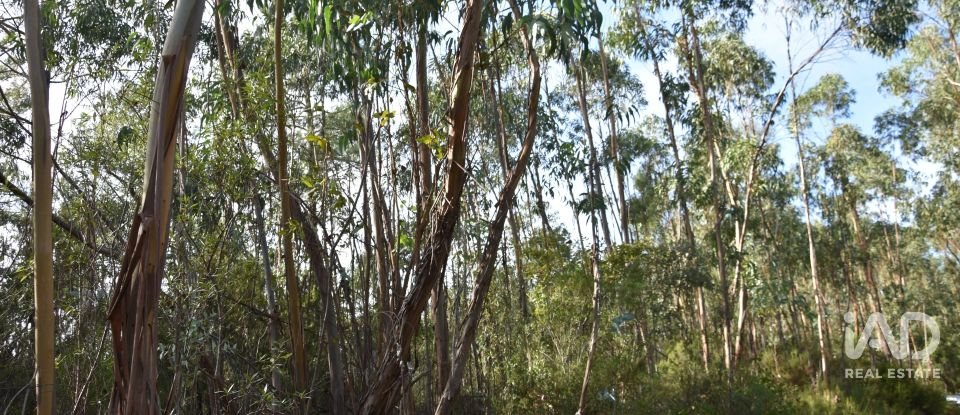 Terreno rústico em Sabacheira de 5 400 m²