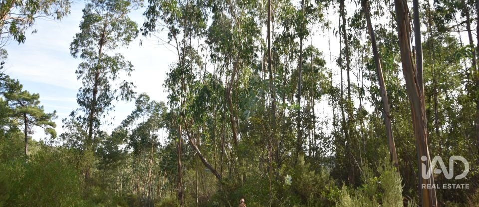Terreno rústico em Sabacheira de 5 400 m²
